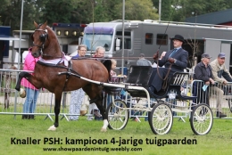 4-jarigen