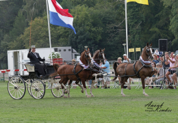 Klavertje 3