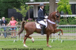 Zadel
